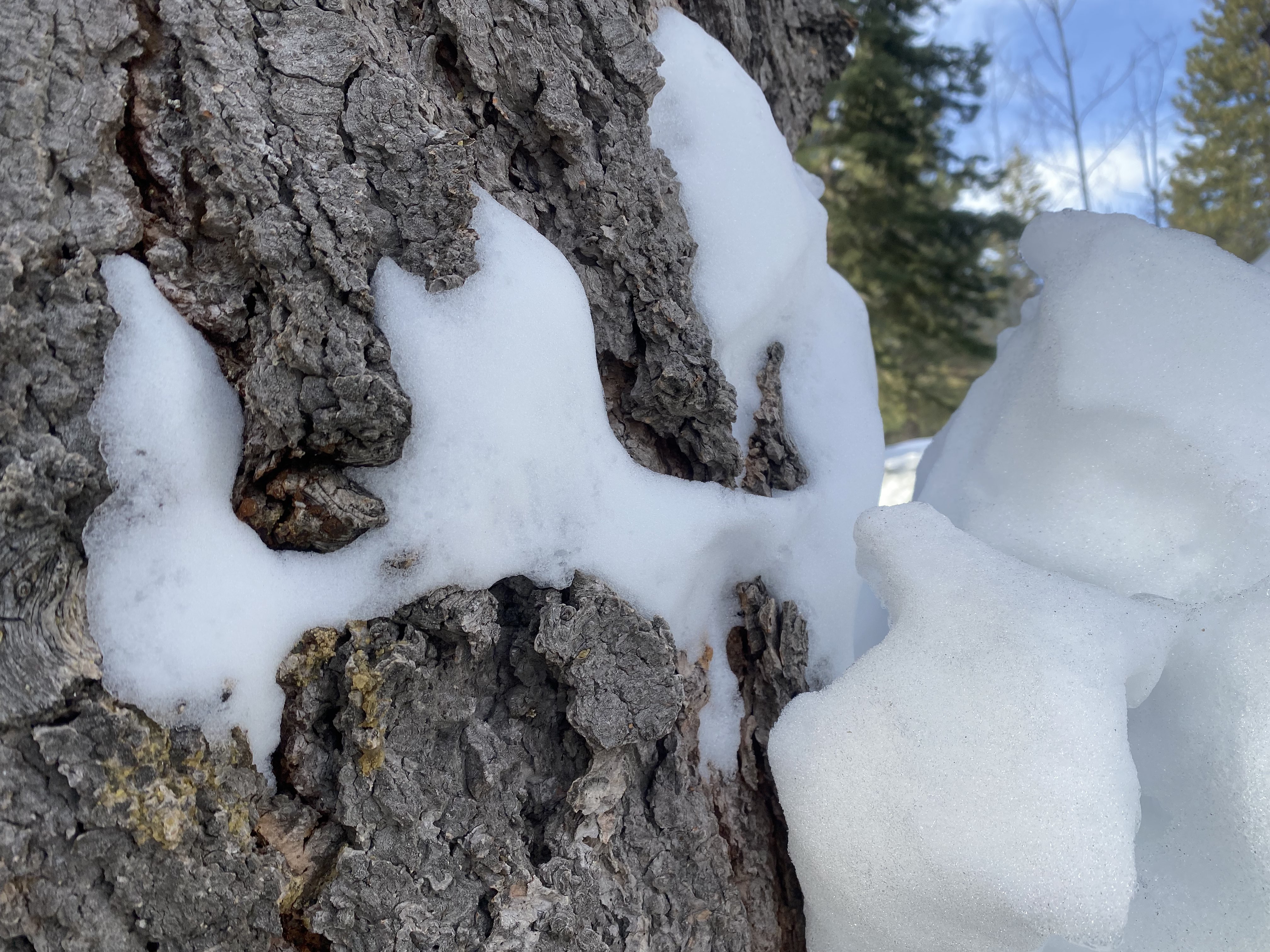 Snow Melting